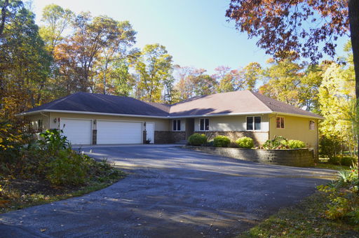 Media Image 3