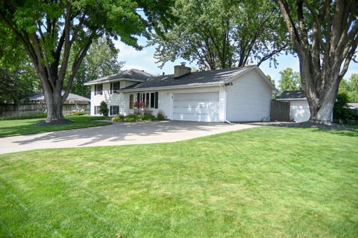 Media Image 2