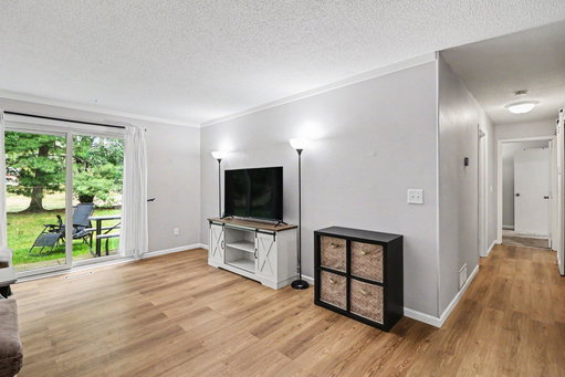 Media Image 3