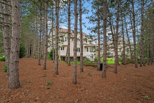Media Image 3