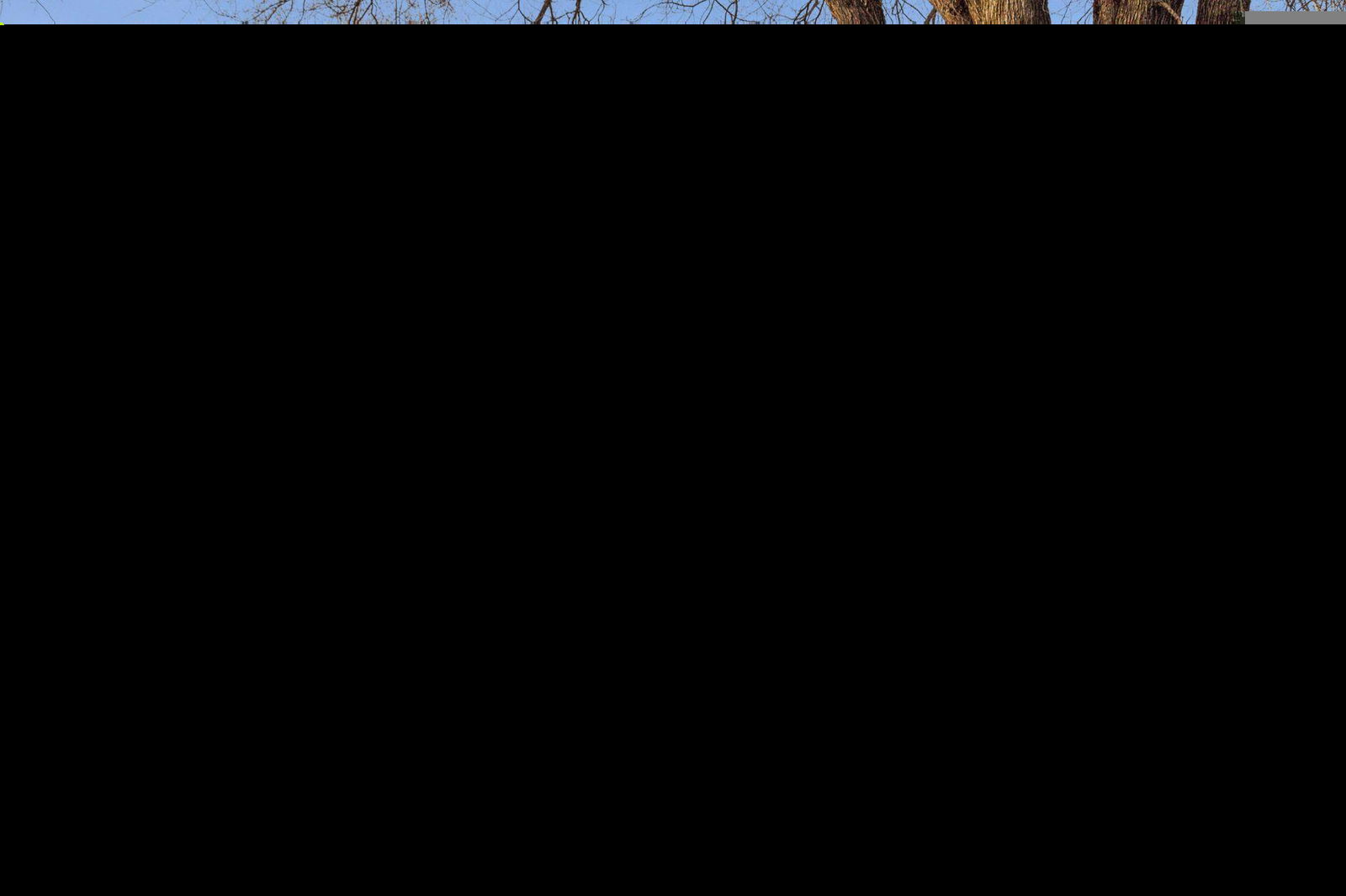 Image Unavailable