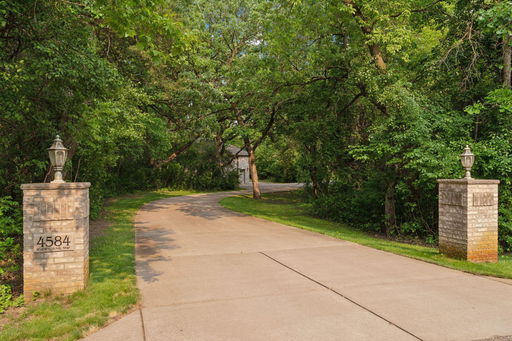 Media Image 2