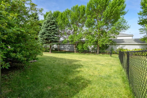 Media Image 3