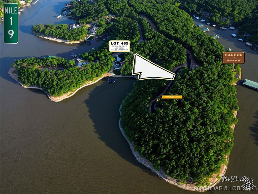 Media Image 1