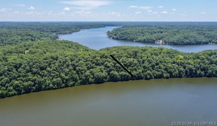 Media Image 1