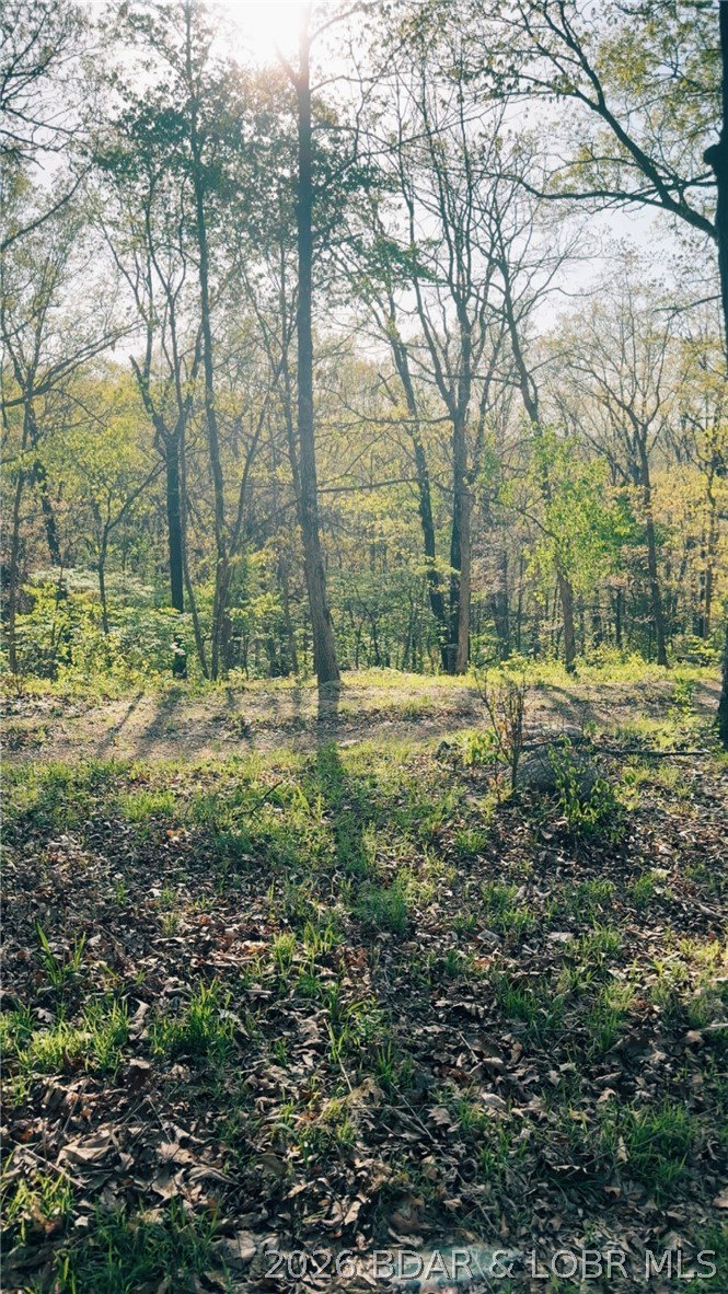 Media Image 1