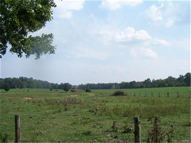 Media Image 1