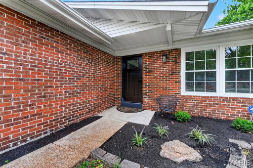 Media Image 3