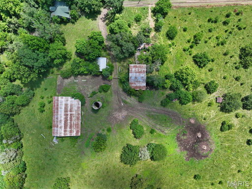 Media Image 2