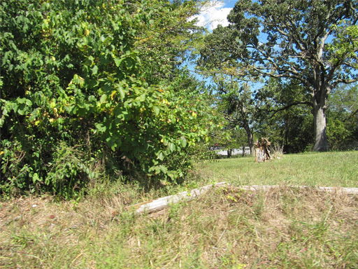 Media Image 3