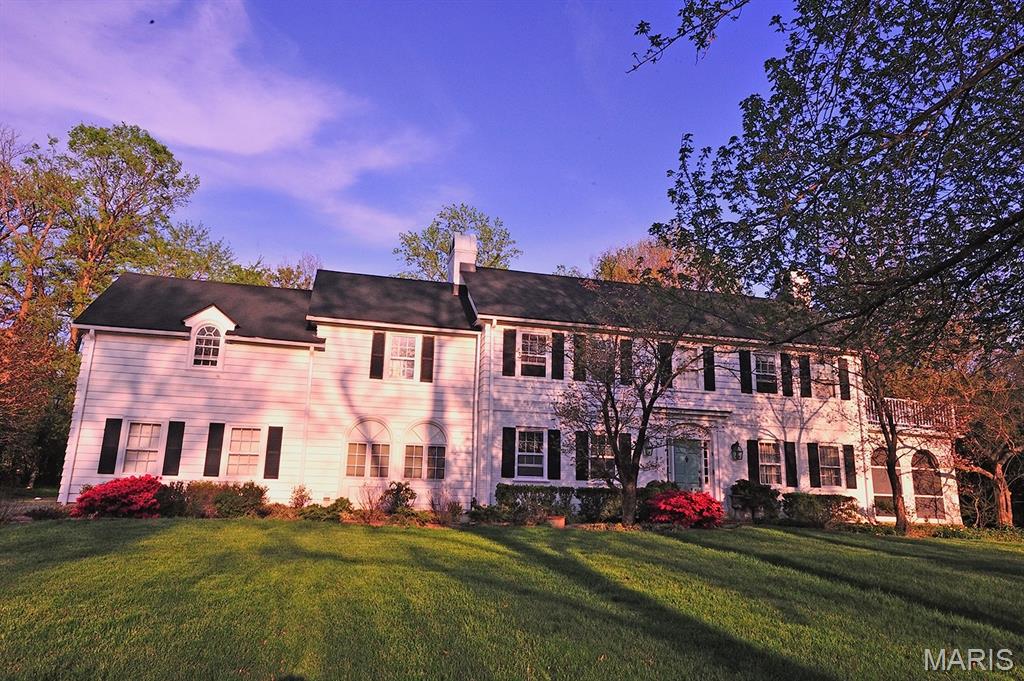 Media Image 1