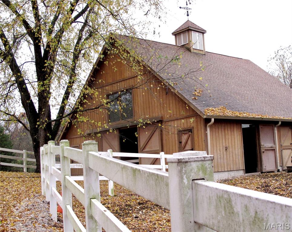 Media Image 1