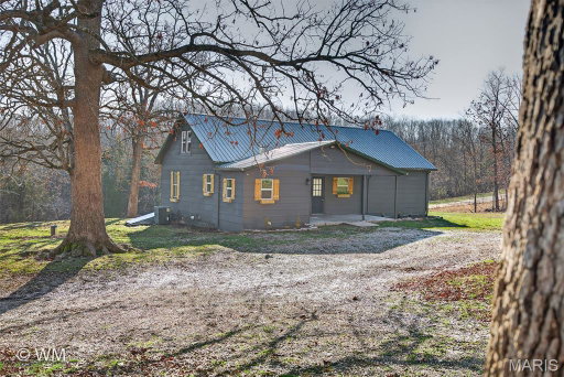 Media Image 2