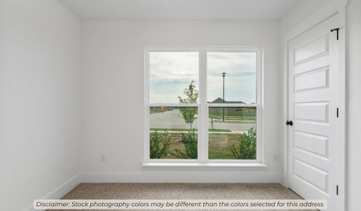 Media Image 3