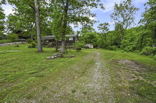 Media Image 3