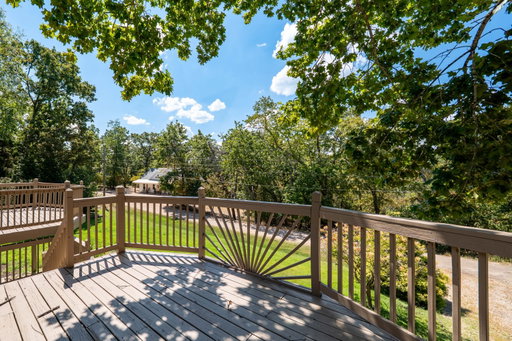 Media Image 3