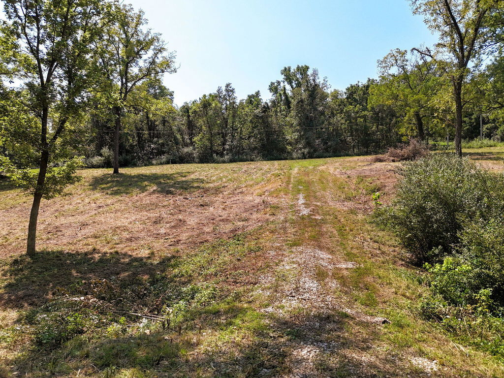 Media Image 1