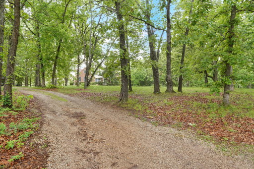 Media Image 2