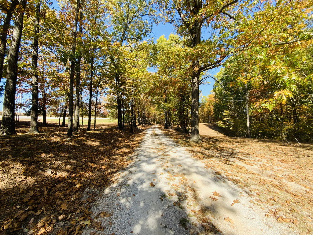 Media Image 1
