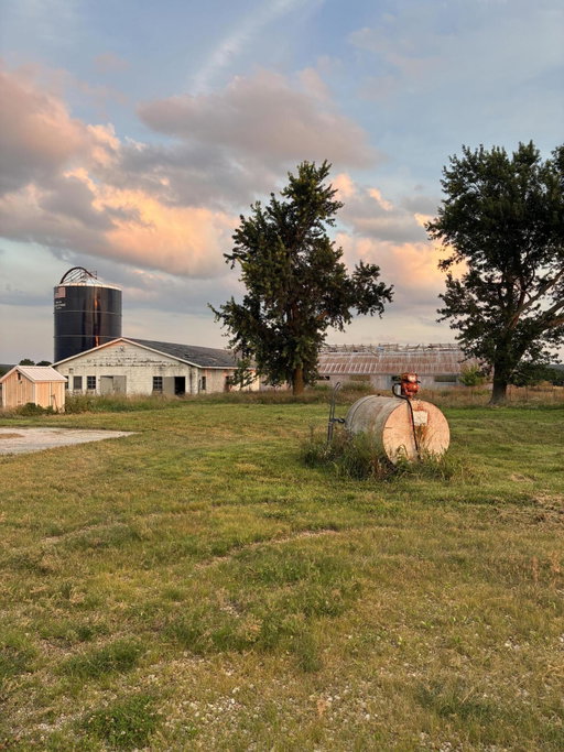 Media Image 2