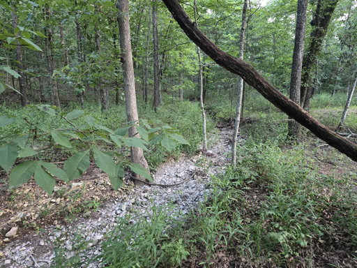 Media Image 2