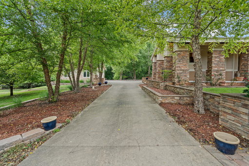 Media Image 3