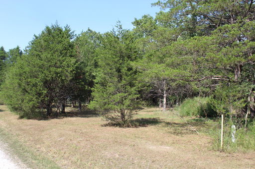 Media Image 2
