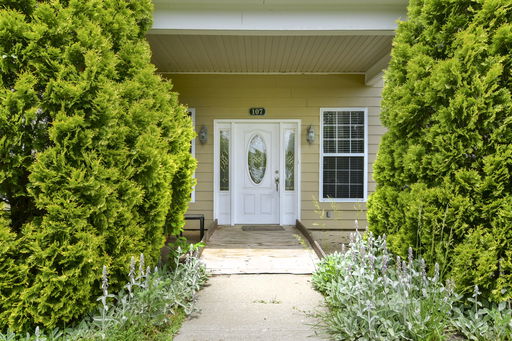 Media Image 3
