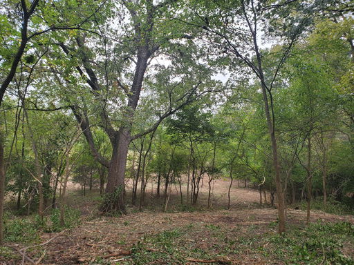 Media Image 2