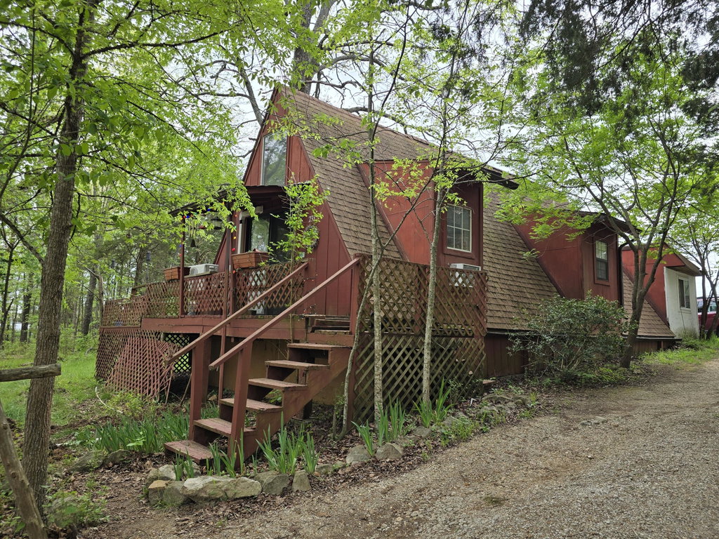Media Image 1