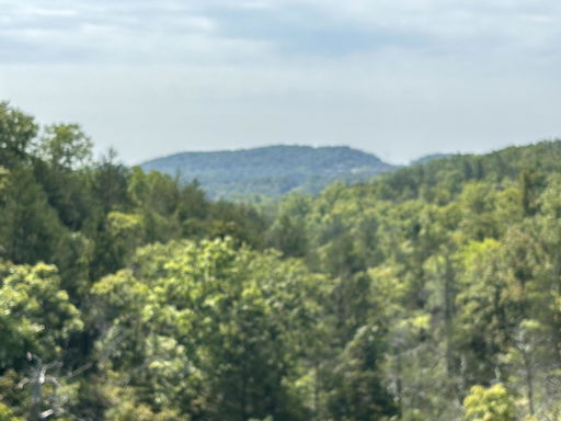 Media Image 3