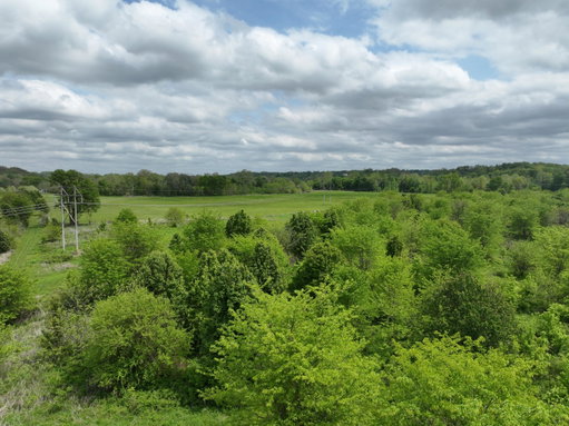 Media Image 2