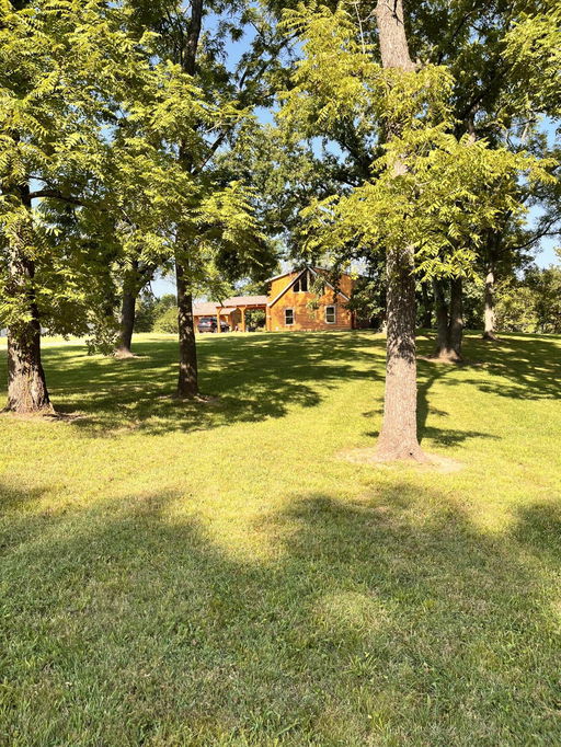 Media Image 3