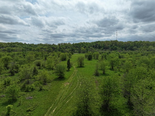 Media Image 3