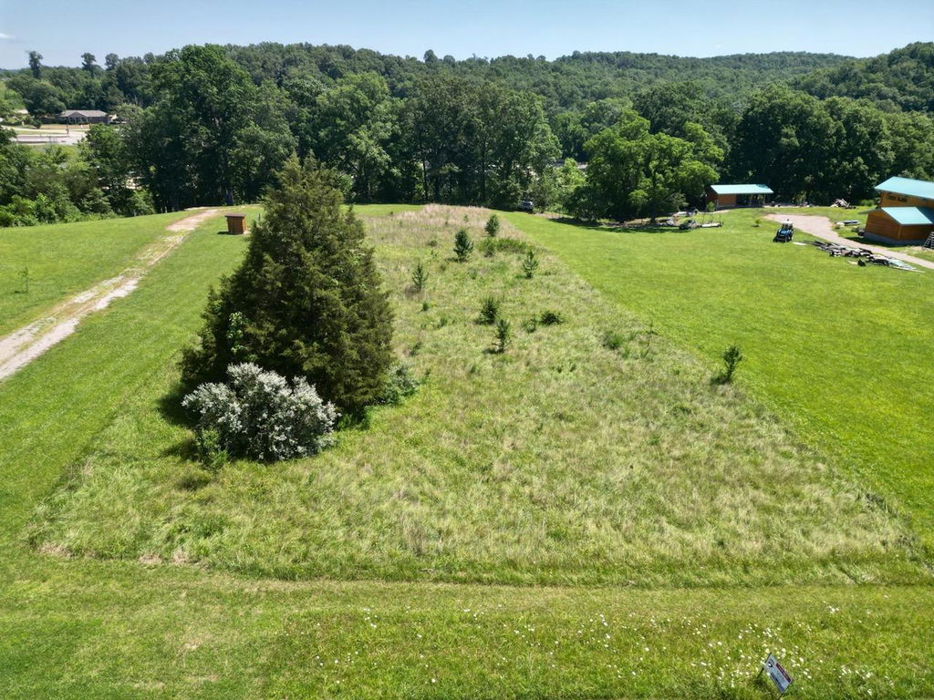 Media Image 1