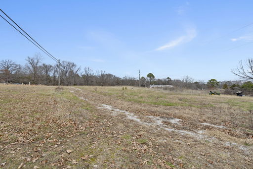 Media Image 3