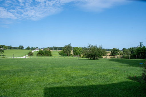Media Image 3