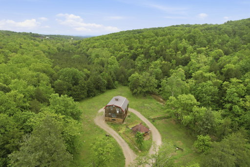 Media Image 2