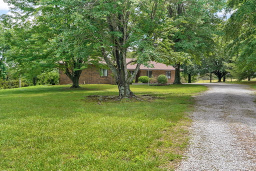 Media Image 2
