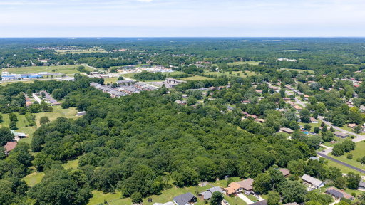 Media Image 3