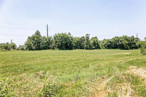 Media Image 2