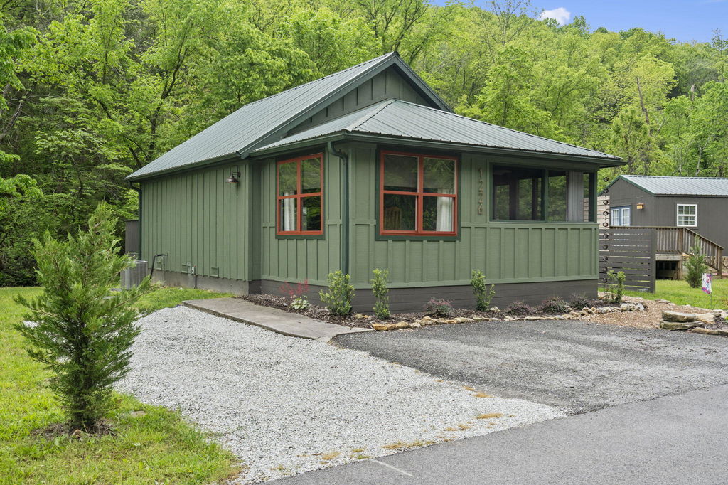 Media Image 1