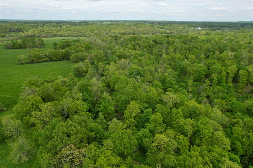Media Image 3