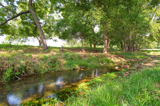 Media Image 2