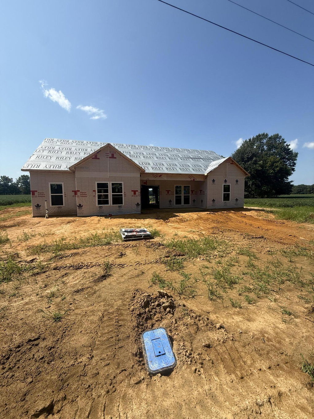 Media Image 1
