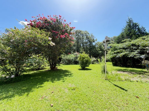 Media Image 3