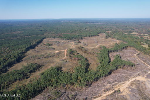 Media Image 2