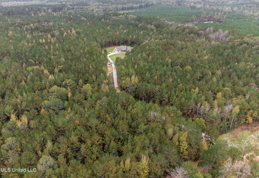Media Image 3