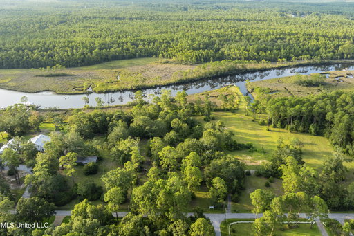 Media Image 2
