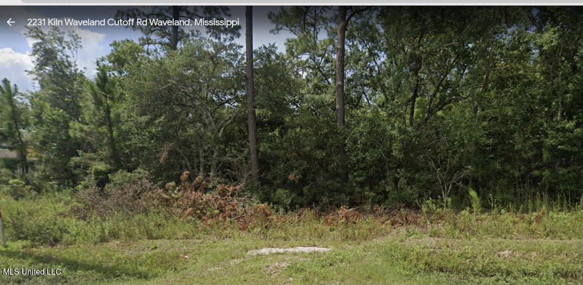 Image Unavailable